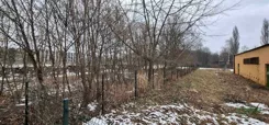 4/21/01/2026 - zdjęcie nr 3