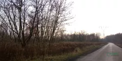 4/9/12/2019 - zdjęcie nr 4