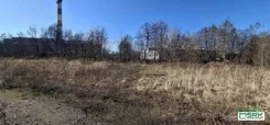 4/24/02/2026 - zdjęcie nr 4