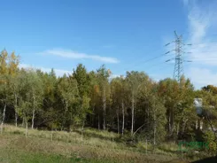 4/29/10/2019 - zdjęcie nr 0