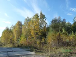4/29/10/2019 - zdjęcie nr 3