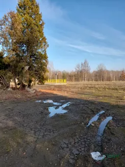 2/1/10/2026 - zdjęcie nr 0