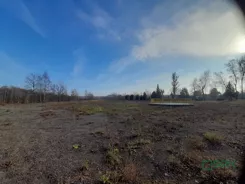 2/1/10/2026 - zdjęcie nr 2