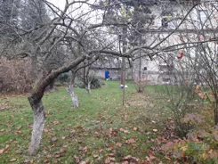 4/4/12/2024 - zdjęcie nr 0