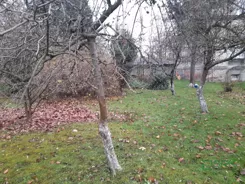 4/4/12/2024 - zdjęcie nr 1