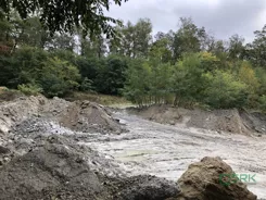 4/6/10/2023 - zdjęcie nr 1