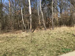 4/117/01/2020 - zdjęcie nr 2