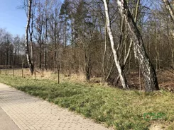 4/117/01/2020 - zdjęcie nr 3