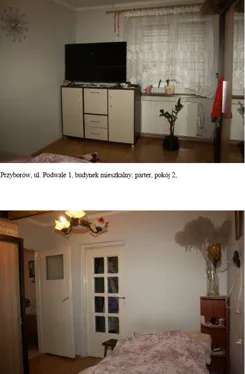TTT-00001821 - zdjęcie nr 3
