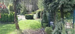 4/13/04/2026 - zdjęcie nr 2