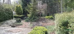 4/13/04/2026 - zdjęcie nr 3