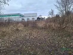 4/6/03/2026 - zdjęcie nr 3