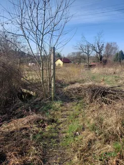 4/11/04/2026 - zdjęcie nr 4