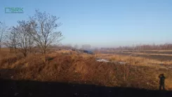 2/13/01/2020 - zdjęcie nr 2