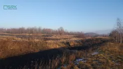 2/13/01/2020 - zdjęcie nr 3