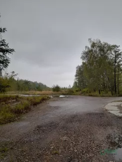 230-68/2025 - zdjęcie nr 3