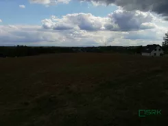 2/5/10/2019 - zdjęcie nr 0