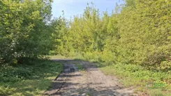 230-120/2024 - zdjęcie nr 4