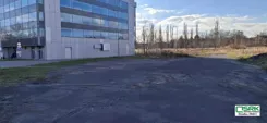 4/9/11/2025 - zdjęcie nr 3