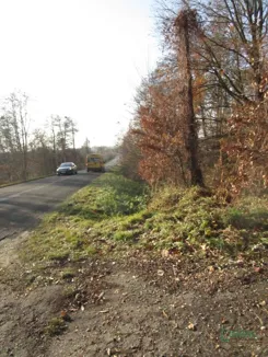 4/23/01/2026 - zdjęcie nr 3