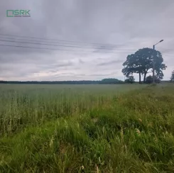 230-75/2024 - zdjęcie nr 2