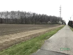 4/2/08/2024 - zdjęcie nr 4