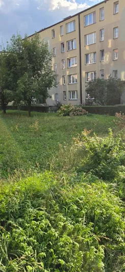 gc0000020 - zdjęcie nr 1