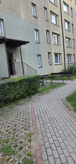 gc0000020 - zdjęcie nr 2