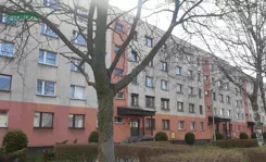AZM/DMK/37/2026/04-26 - zdjęcie nr 0