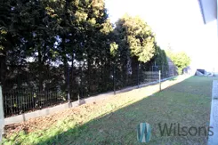 WIL990487257 - zdjęcie nr 2