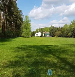 WIL650814 - zdjęcie nr 2