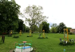 WIL756696 - zdjęcie nr 4