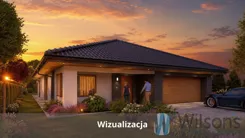 WIL707861 - zdjęcie nr 1