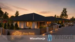 WIL707861 - zdjęcie nr 2