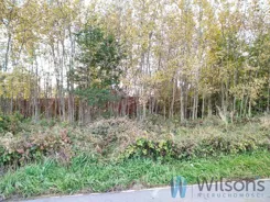 WIL286900 - zdjęcie nr 2