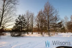 WIL387624 - zdjęcie nr 0