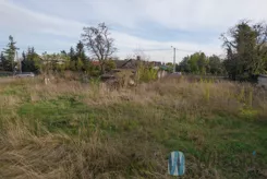 WIL779238 - zdjęcie nr 4