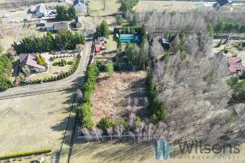 WIL395769 - zdjęcie nr 2