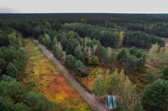 WIL551583 - zdjęcie nr 1