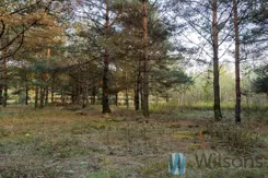 WIL551583 - zdjęcie nr 2