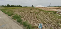 WIL871500 - zdjęcie nr 2