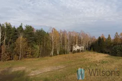 WIL104427 - zdjęcie nr 4