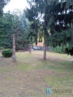 WIL356867 - zdjęcie nr 4