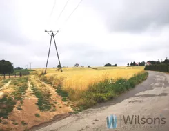WIL493425 - zdjęcie nr 2