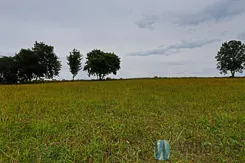 WIL877936 - zdjęcie nr 0