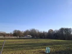 WIL250502 - zdjęcie nr 3
