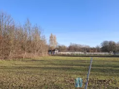 WIL250502 - zdjęcie nr 4