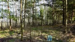 WIL537635 - zdjęcie nr 2