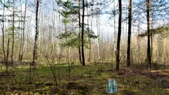 WIL537635 - zdjęcie nr 3