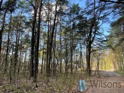 WIL555820 - zdjęcie nr 1